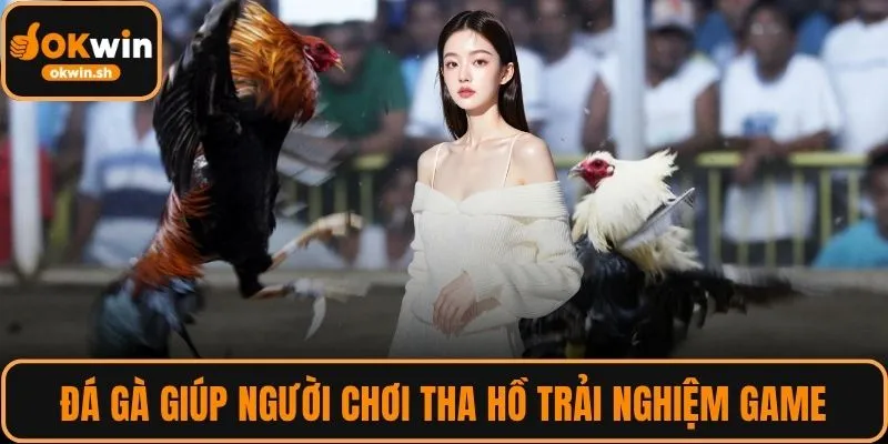 Đá gà giúp người chơi tha hồ trải nghiệm game